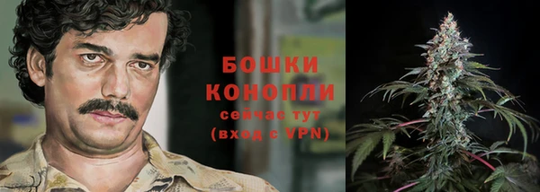 MESCALINE Каменка
