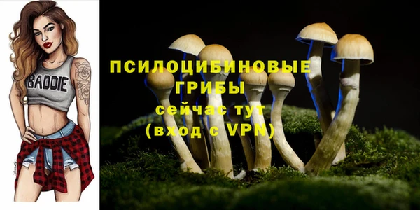 MESCALINE Каменка