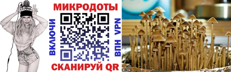 ОМГ ОМГ рабочий сайт  Каргополь  Псилоцибиновые грибы MAGIC MUSHROOMS 